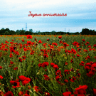 Champs de coquelicots pour un anniversaire